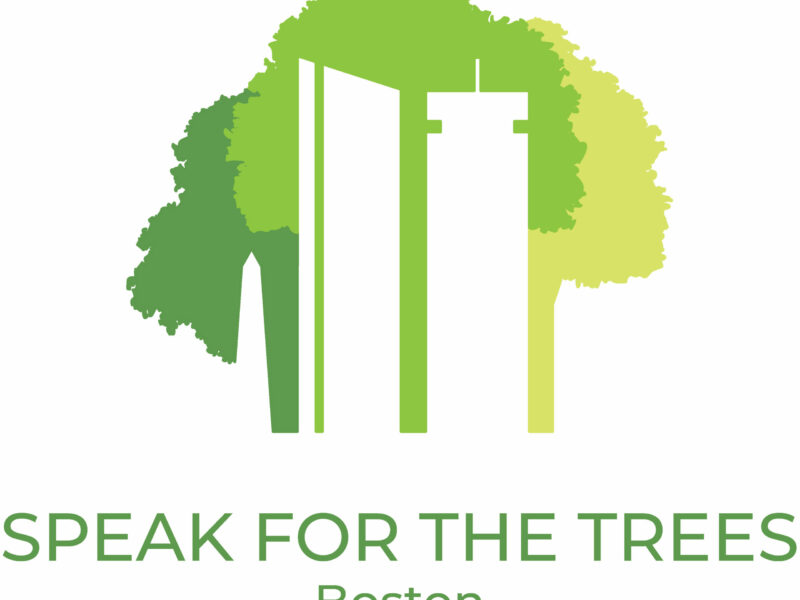 Speak For the Trees, Boston